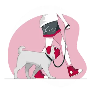 Pet